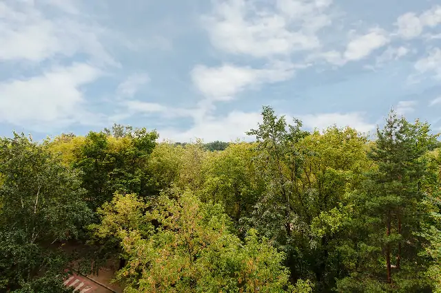 <span>5-ти комнатная квартира</span> Александра Серова
