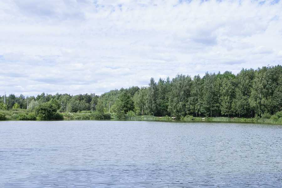 <span>Квартира у</span> Щелковского парка<span>!</span>