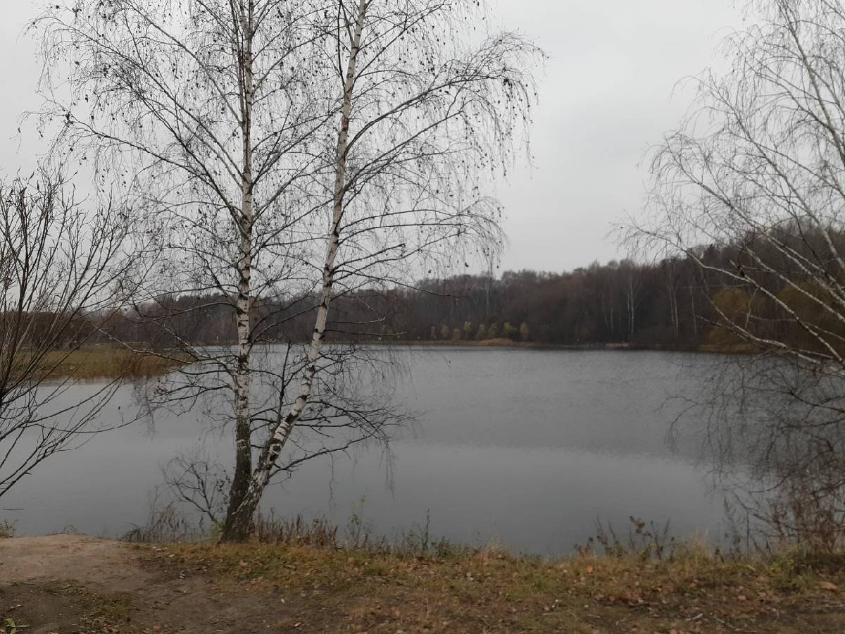 Адмиральская <span>сталинка</span>