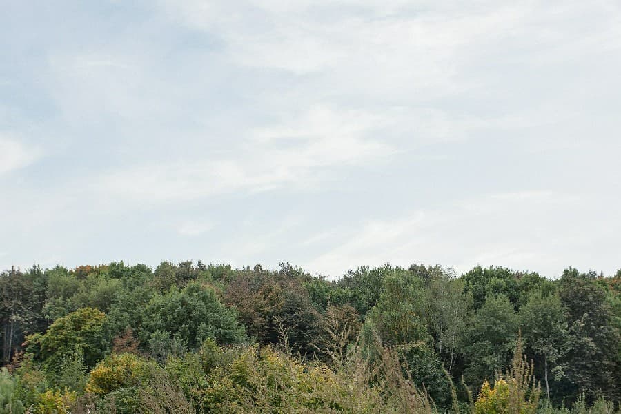 Квартира  <span>у Битцевского парка</span>